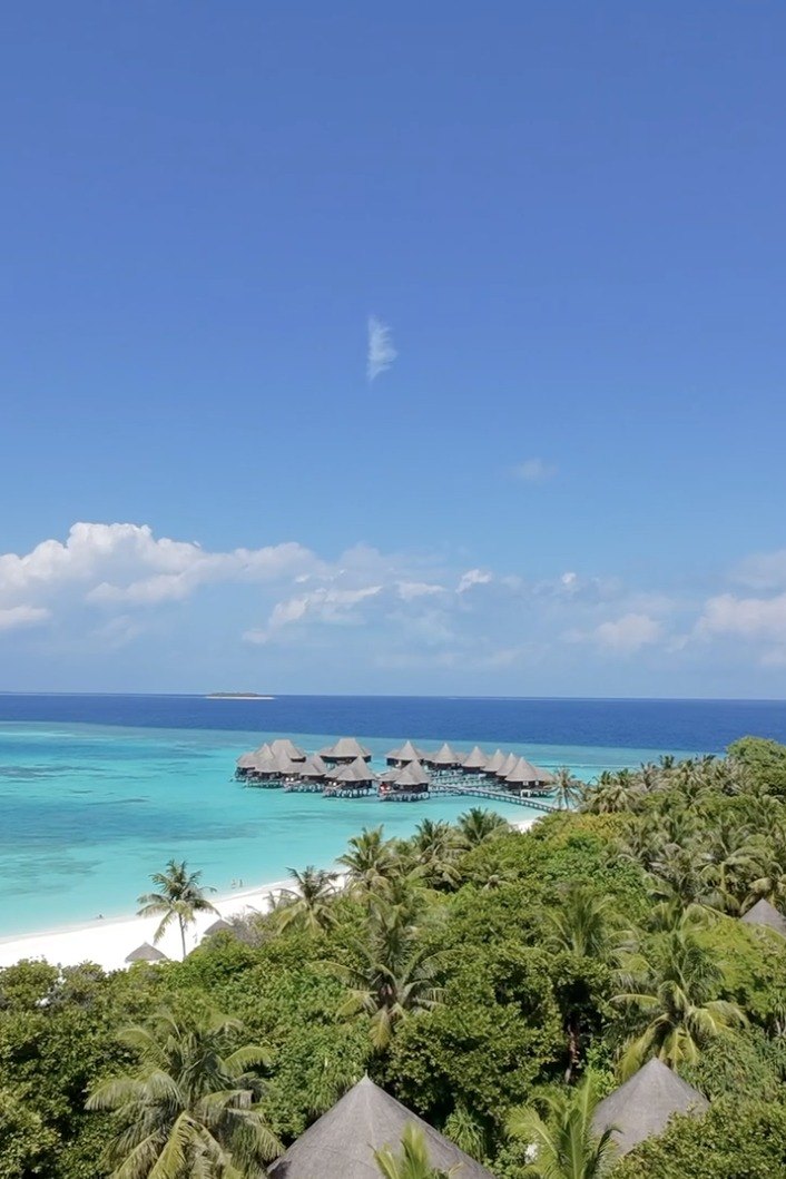 Looking out over a dense palm canopy and two thatched roofs to a white beach, a turquoise lagoon and a long row of overwater villas on a jetty, with open ocean and a far island behind