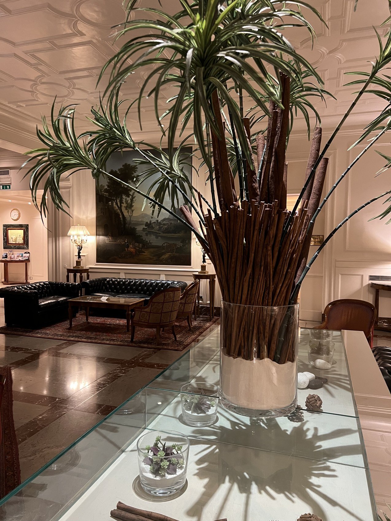 A tall dracaena in a steel pot on a glass counter, reflected in the polished floor of a salon