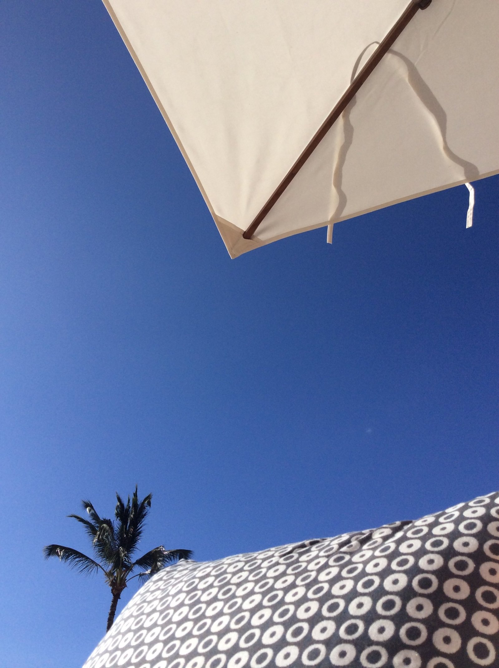 Two parasols seen from underneath against a hard blue sky, a palm crown at the edge of the frame