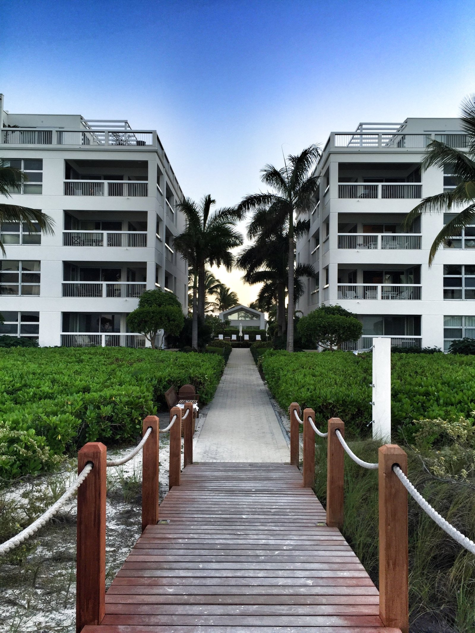 A path between two white four storey wings, palms and the last of the sunset in the gap between them