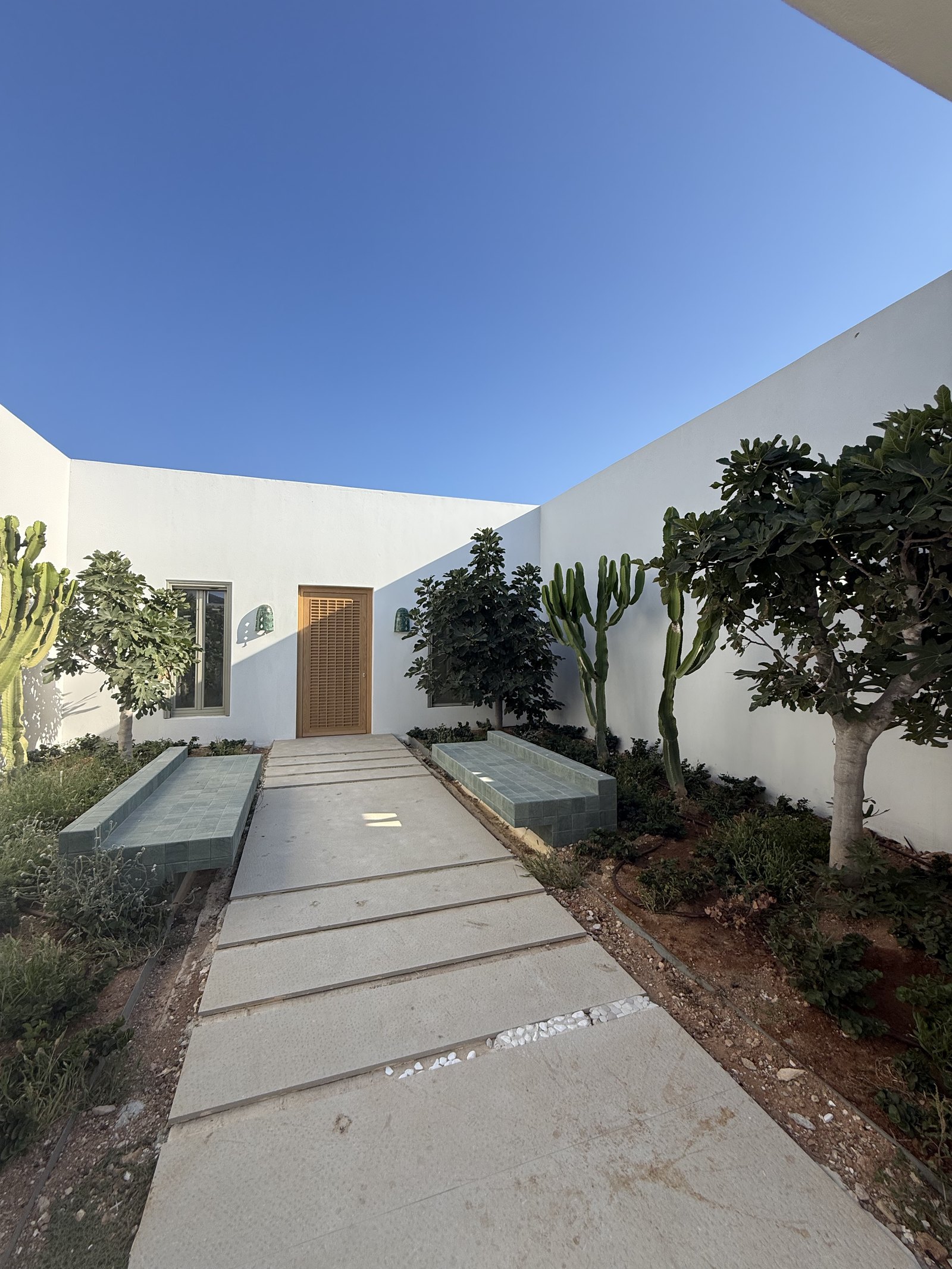 A concrete path running between high white walls towards a timber door, with cacti, a fig tree and a long narrow water channel beside it under a deep blue sky