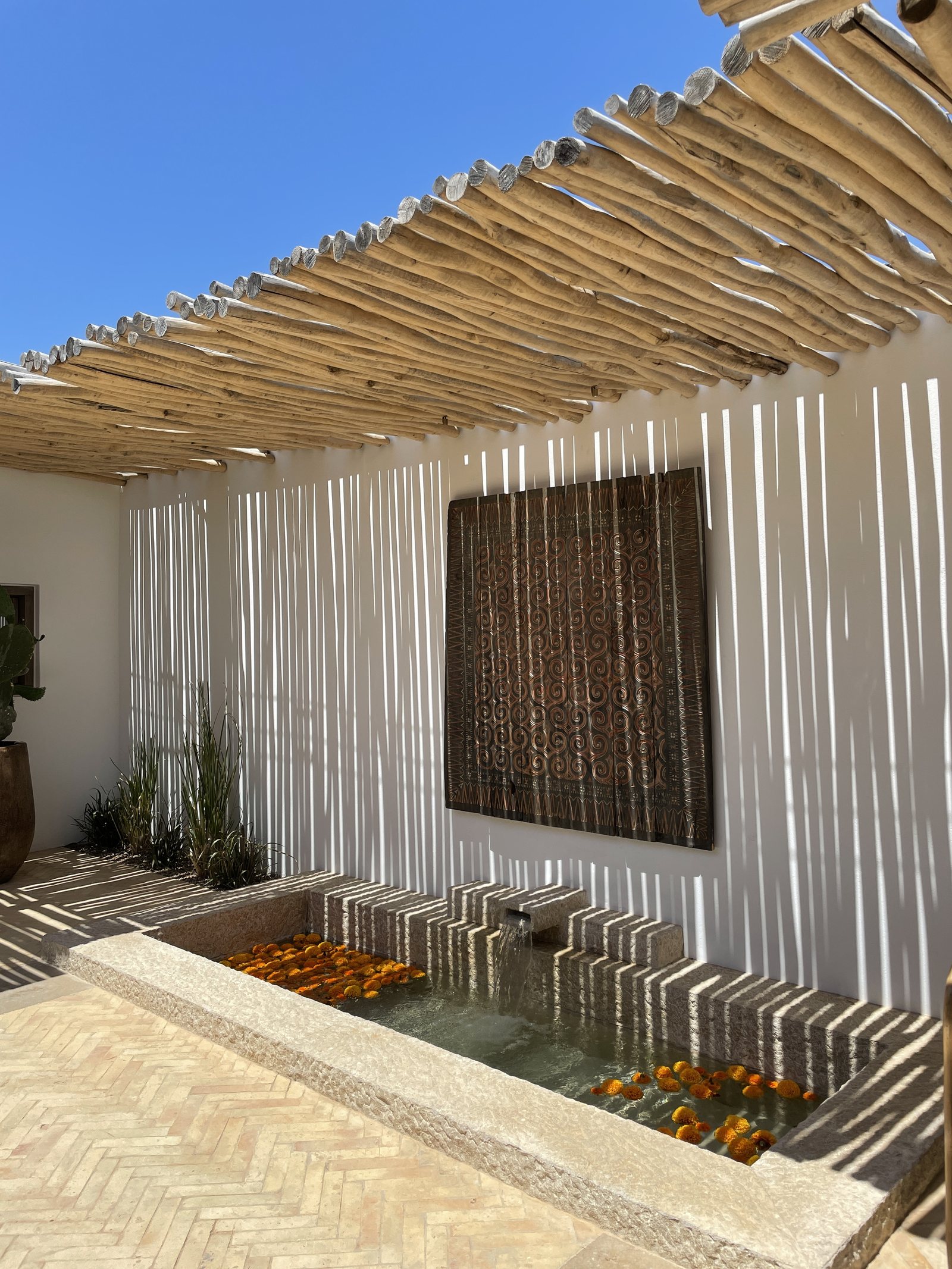 A pergola of white battens over a plunge pool, herringbone paving below