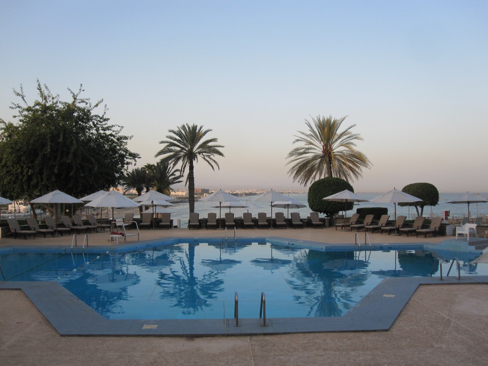 A pool with white parasols and loungers above a bay, palms along the edge and the town across the water