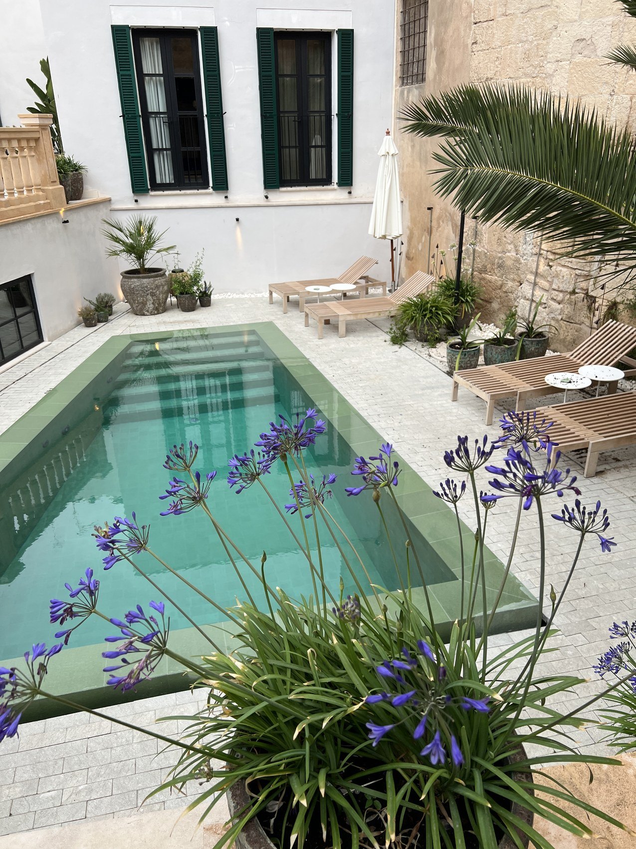 A small courtyard pool seen through agapanthus, with shuttered windows above