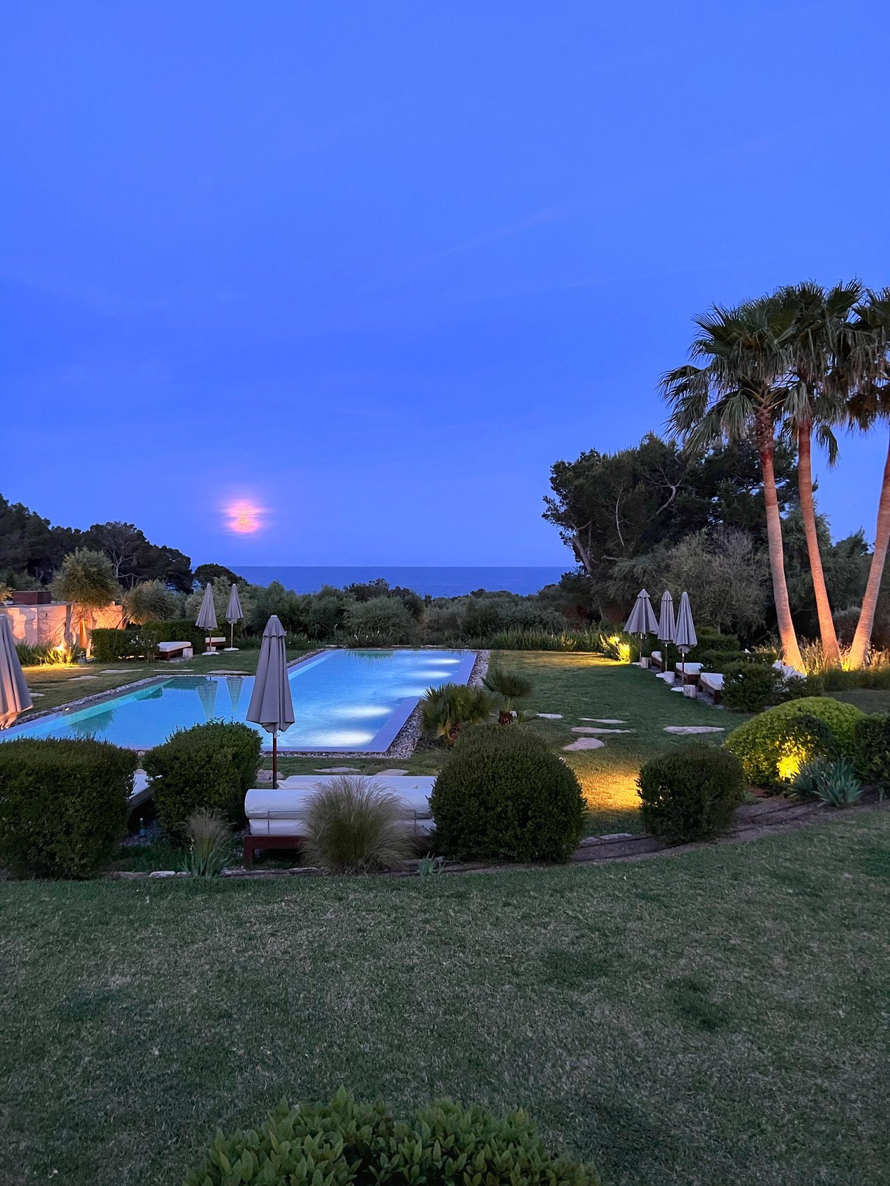 A long pool on a lawn at dusk with palms and a deep blue sky above