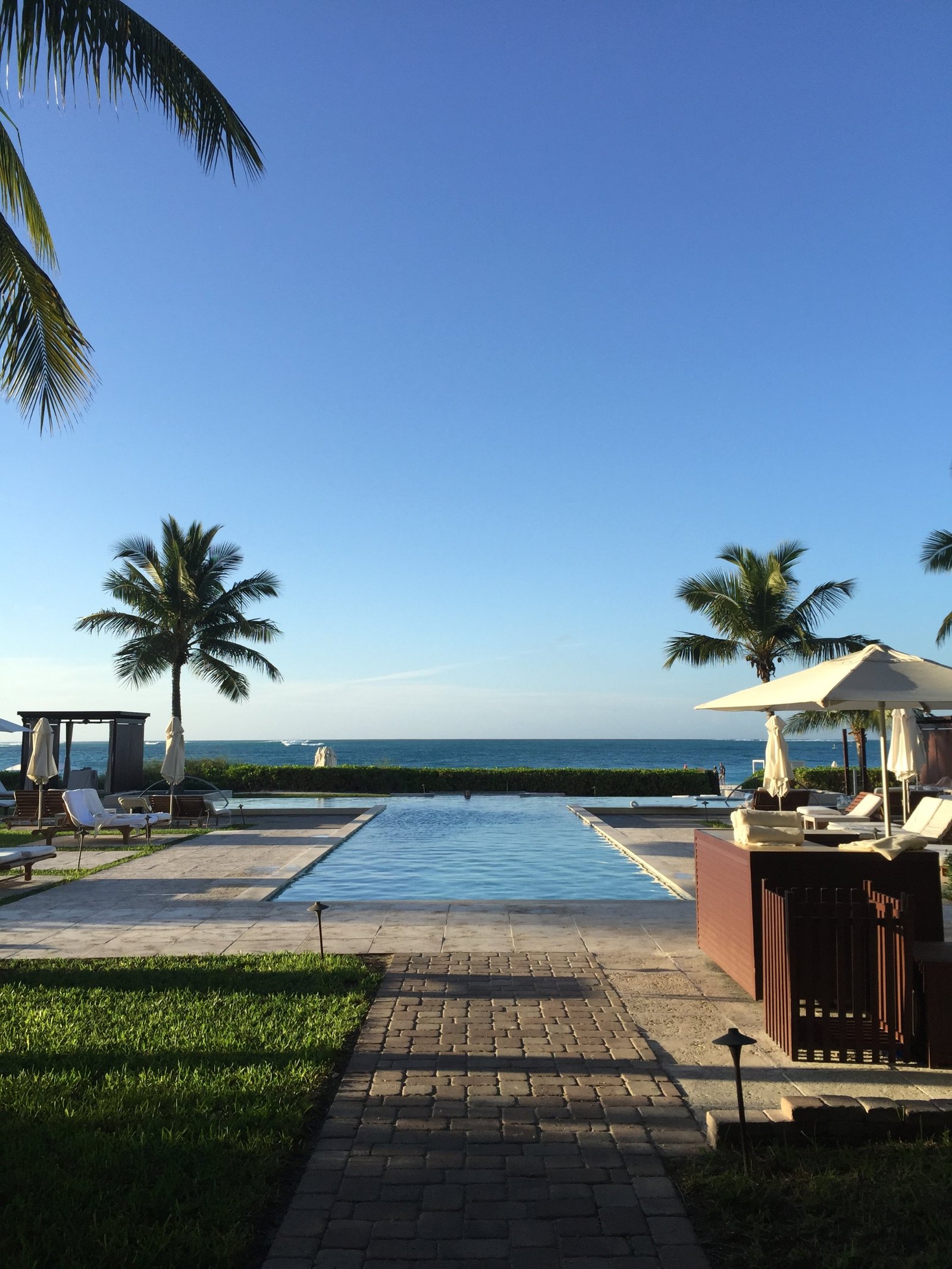 A long pool running towards the sea between palms, with loungers and a timber cabana along one side