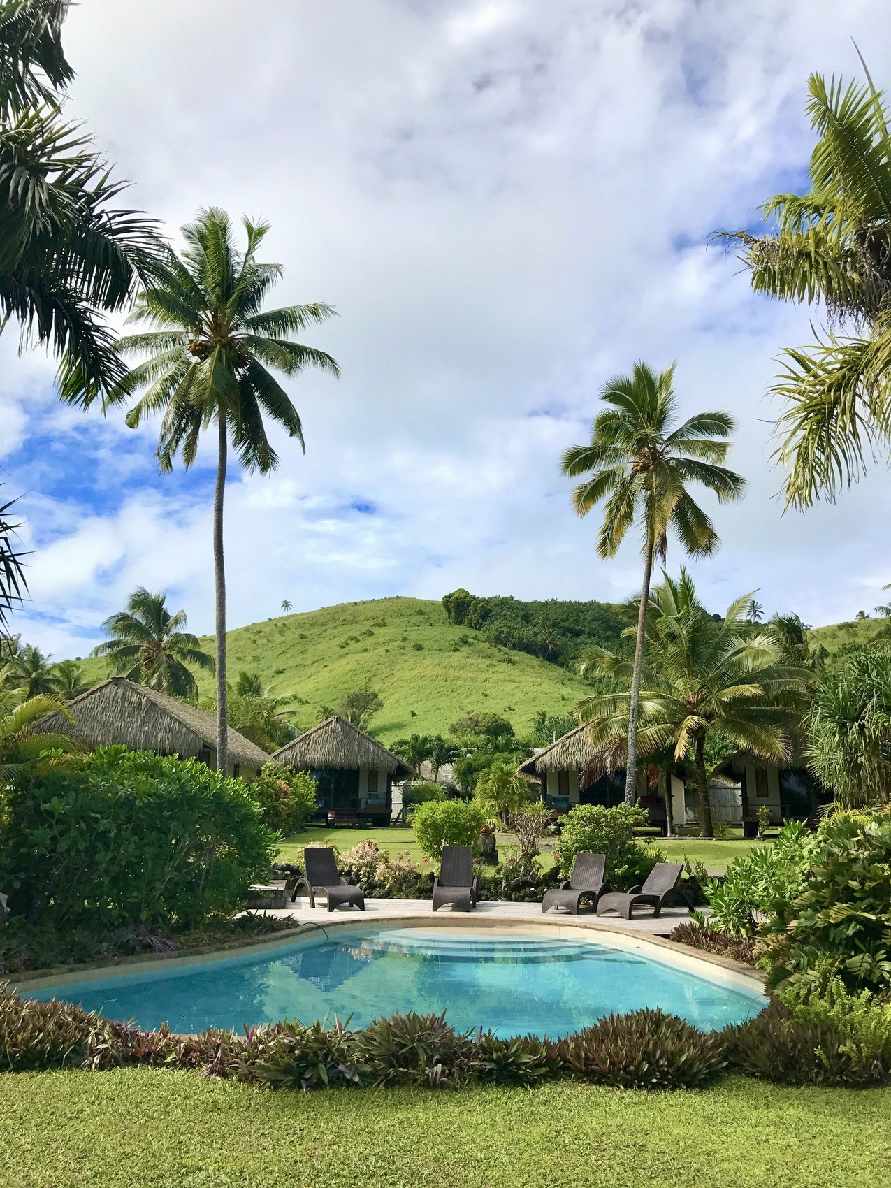 A pool in a lawn under tall palms, green hills rising behind